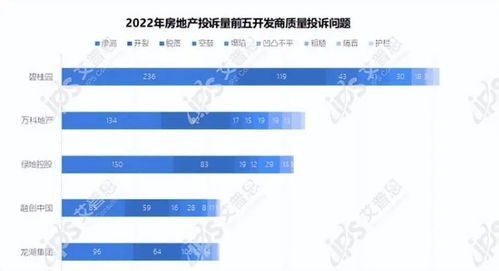 既要、又要、還要，碧桂園楊惠妍如何面對凈利潤挑戰(zhàn)，翻身之路有多遠？