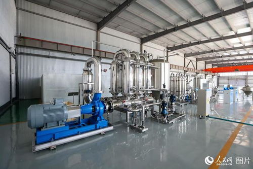 山東濟南 降本提效，發展生物科技新質生產力